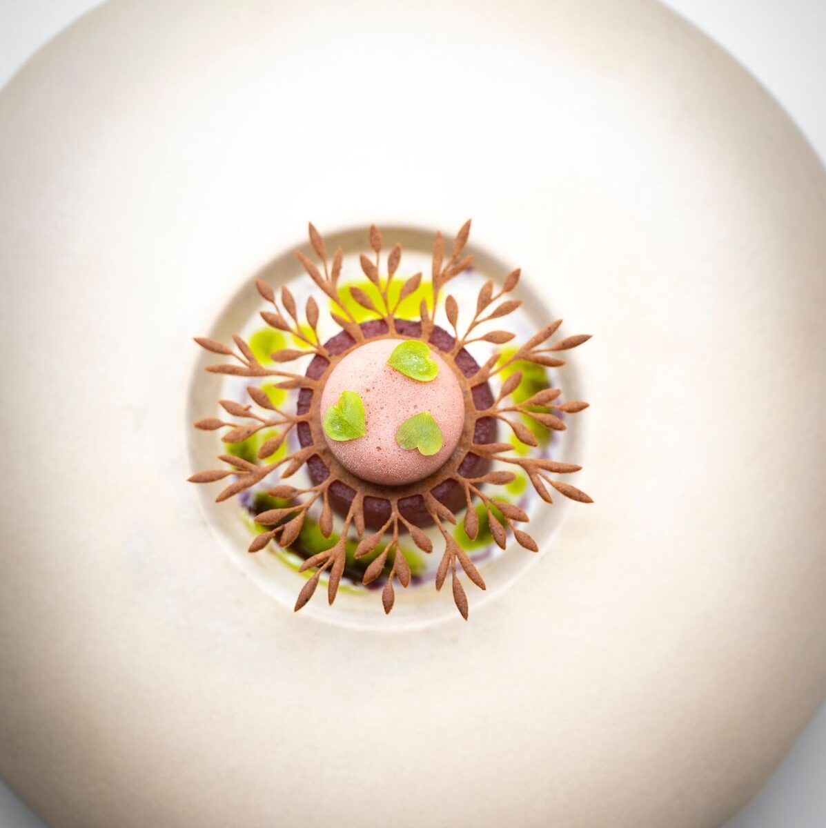 Headwayfloridabehavo